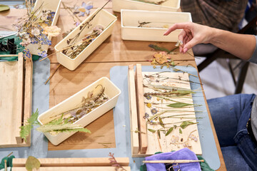 A woman lays out a composition. Master class on creating frame with Herbarium in tiffany technique in stained glass. Herbarium of dried different plants and flowers placed under a glass