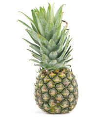Fototapeta premium Pineapple isolated on white background