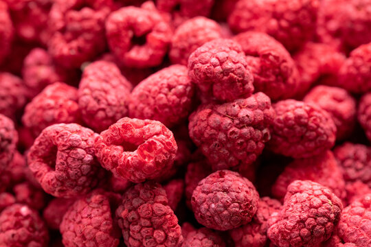 Macro shot of freeze dried organic raspberries, raw delicious snack, cooking baking ingredients. Red berries juicy summer background. Natural sugars, healthy food, fresh fruits concept, text space