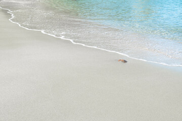 穏やかな透き通った波打ち際