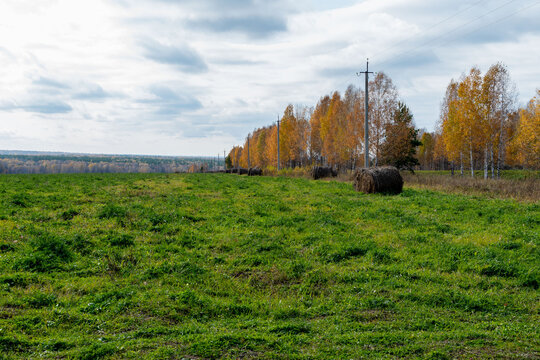 Autumn Landscape With Trees Yellow Nature