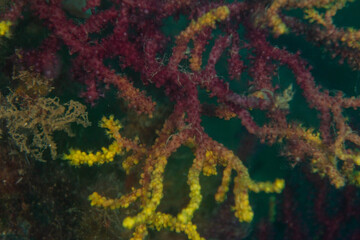 texture of the paper