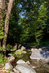 Boccatoggio river in Upper Corsica mountain