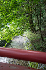 神社の脇を流れる弥彦山からのせせらぎ