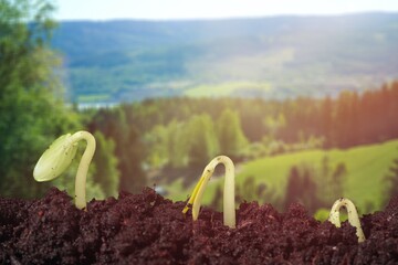 Agriculture.