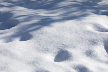 Abstract snowy background. Winter meadow sunny day dark shadows. Snow texture, selective focus