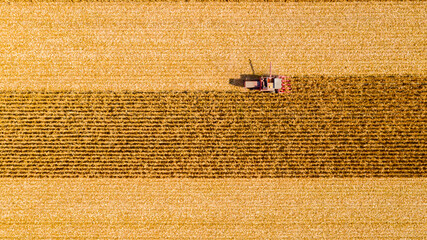 Above view on combine, harvester machine, harvest ripe maize