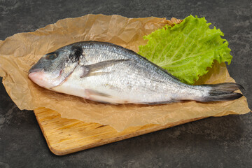Raw Dorada fish  for cooking