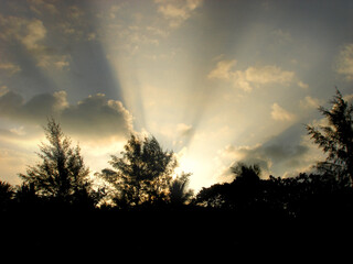 orange sunset sky black silhouettes of trees and horizon