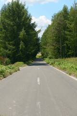 Fototapeta premium 一本道