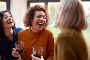 Group Of Mature Female Friends Meeting At Home To Talk And Drink Wine Together