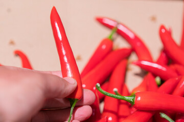 man buys a hot red peppers in the store. first person view man buy hot peppers in the store