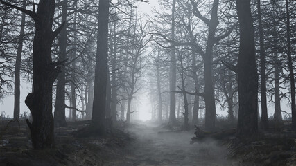 3d render of a scary and empty forest in the fog