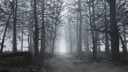 Fototapeta na wymiar 3d render of a scary and empty forest in the fog