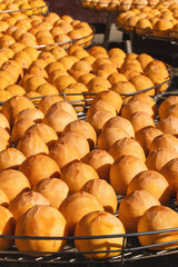Fototapeta premium Making process of sun exposuring dried persimmon in a sieve in autumn.