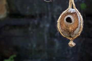 Coconut shells are processed into a love bird's nest. A unique creative work and friendly nature.