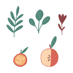 Set from apples, twigs and flower on white background. Scandinavian botanical sketch hand drawn in style doodle.