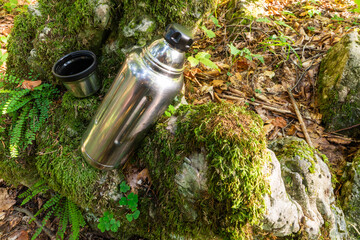 Thermos and cup with hot tea. Picnic on mossy log in forest
