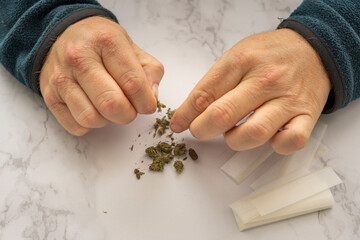 View from above of a Caucasian man dismembering marijuana to make a cigar