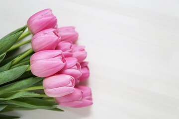 group of pink tulips on a white background