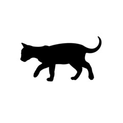 Cat vector