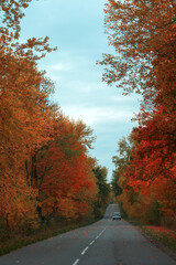 Car driving away on asphalt road through autumn forest. Nature autumn background