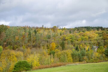 Herbstwald