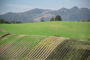 Obraz premium Área rural São José dos Pinhais - Paraná 