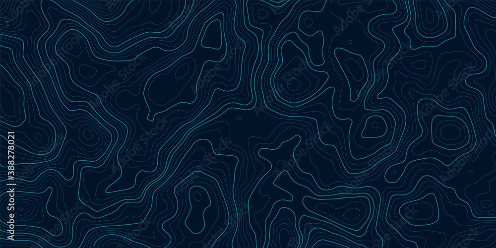 Poster topographic contour map on blue background. vector grid map.