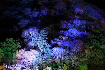 嵐山花灯路