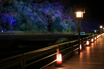 嵐山花灯路
