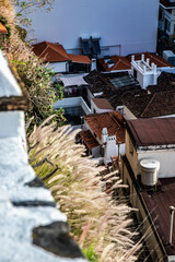 Santa Cruz - view on the roofs of buildings.