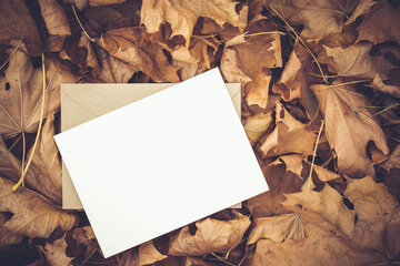 Blank white paper card with brown craft envelope on autumn leaves background. Colorful backround image. Space for text.