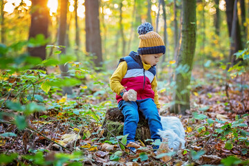 Cute toddler child, boy, holding mushroom in forest, musroom picking