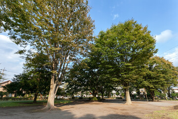 旭が丘中央公園（東京都日野市）