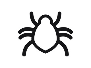 spider animal