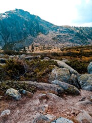 mountain river in the mountains