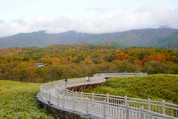 北海道「知床国立公園」の知床五湖、高架木道から、夕日に染まる景色