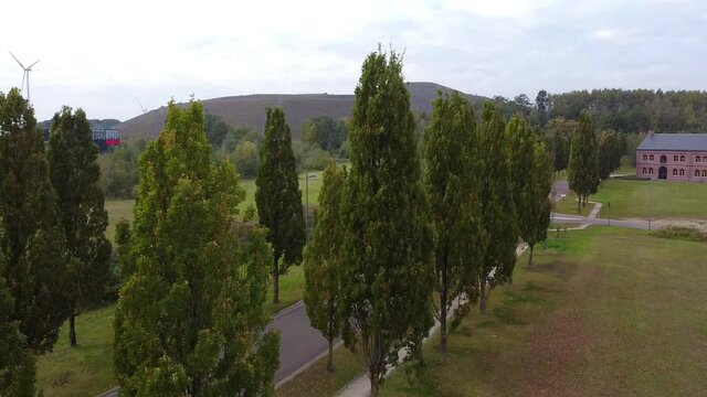 beautiful trees in the mining town Genk Belgium