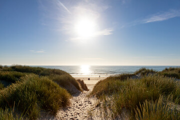Übergang in den Dünen mit Blick auf den Strand bei Vejers auf Jütland an der Nordsee in Dänemark - 388281053