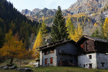 Fototapeta na wymiar Autumn in the mountains. Champorcher Valley,Alps,Italy.