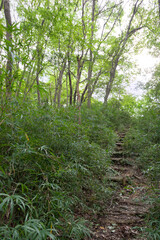平山城址公園（東京都八王子市堀之内）