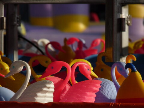Pesca al cigno al luna park: dettaglio su cigni di plastica.