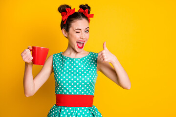 Excellent coffee. Girl hold caffeine mug beverage show thumb up sign wink wear skirt isolated shine color background