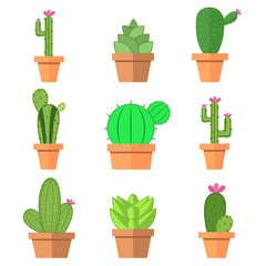 Cactuspictogrammen in een vlakke stijl op een witte achtergrond. Home planten cactus in potten en met bloemen. Een verscheidenheid aan decoratieve cactus met stekels en zonder.