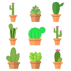 Tuinposter Cactus in pot Cactuspictogrammen in een vlakke stijl op een witte achtergrond. Home planten cactus in potten en met bloemen. Een verscheidenheid aan decoratieve cactus met stekels en zonder.