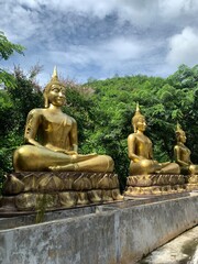 Obraz premium Row of golden Buddha Statue at Hua Khlum Monastic Residence, Suan phueng, Ratchaburi, Thailand.