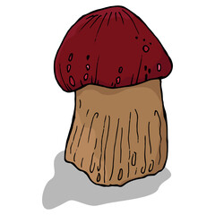 Mushroom icon. Vector illustration of autumn mushrooms. Hand drawn mushrooms in the forest.