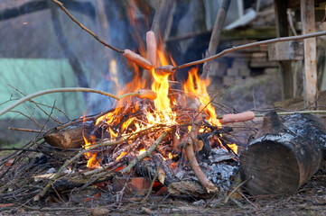 fried sausages on a campfire in autumn picnic