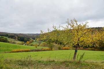 Fototapeta premium Herbst 